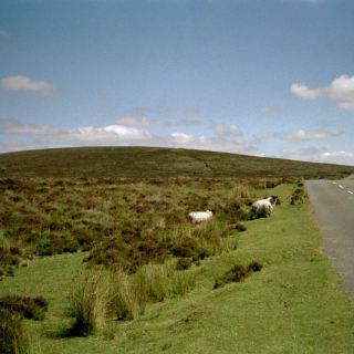 England_E23