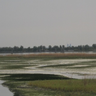 Venezia137