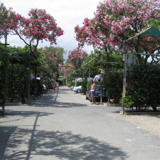 Vespareise_091