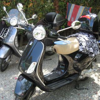 Vespareise_093