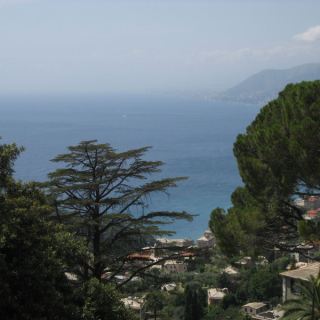 Vespareise_100