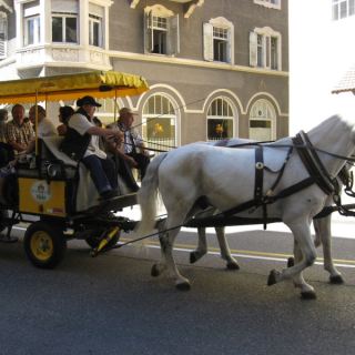 Vespareise_133