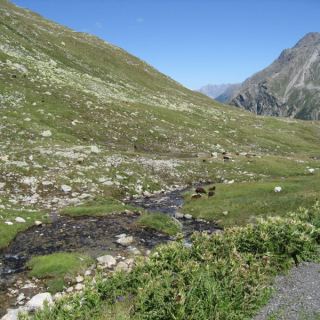 Vespareise_146